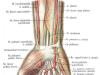 Numb hands: causes of impaired tactile sense