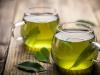 Зелений чай при гастриті: за та проти