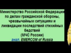 रूस के आपातकालीन स्थिति मंत्रालय की बचाव सैन्य इकाइयाँ