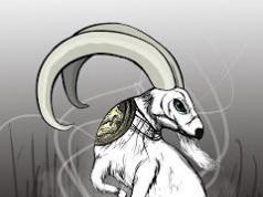 Istočni kineski horoskop za kozu, ovcu