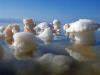 Jūras sāls: ieguvumi un kaitējums, sastāvs, derīgās īpašības